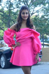 Pooja Hegde at Ala Vaikunthapurramloo Movie Thanks Meet